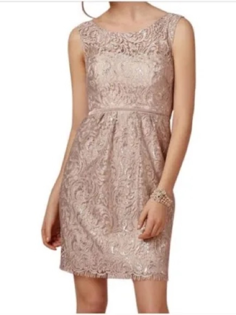 Jenny Yoo Collection Women's Floral Embroidered Metallic Lace Dress Size 8
